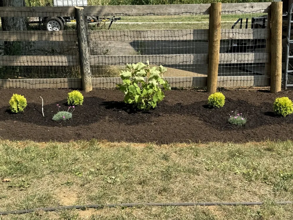 Expert landscaping services near you in Lexington-Fayette, KY by Focused Landscaping