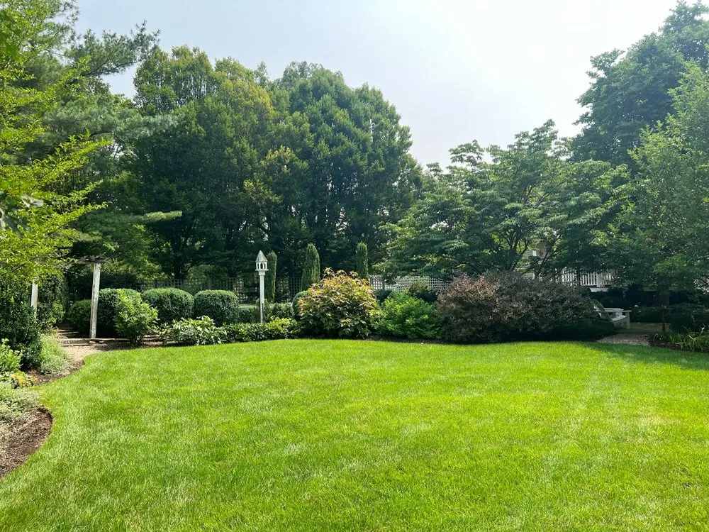 Local yard maintenance in Mendham, NJ - Foerster Landscape