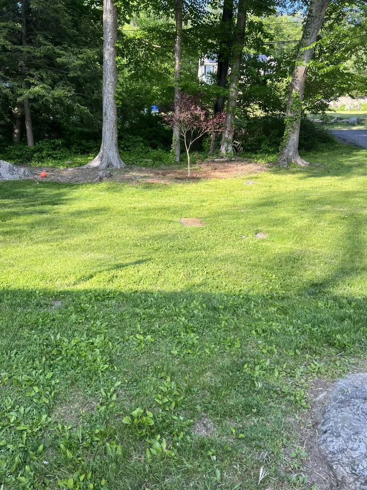 Local lawn mowing service for beautiful yards across New Fairfield, CT - Foglia Landscape & Design