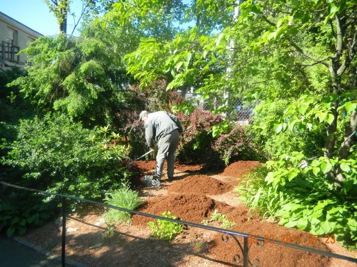Custom yard maintenance in Norwood, MA - Folan's Landscaping, Inc.