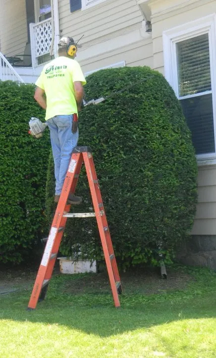 Local landscape installation in Norwood, MA - Folan's Landscaping, Inc.
