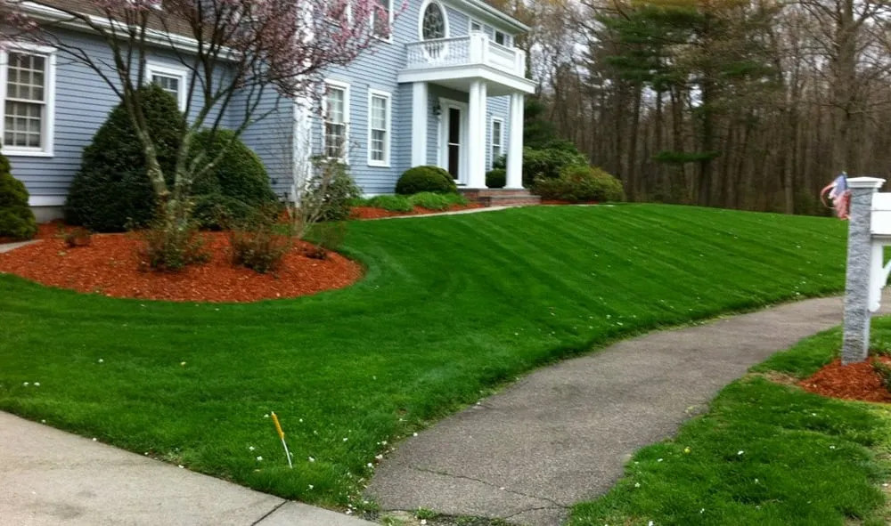 Top-rated yard cleanup service experts serving Norwood, MA - Folan's Landscaping, Inc.