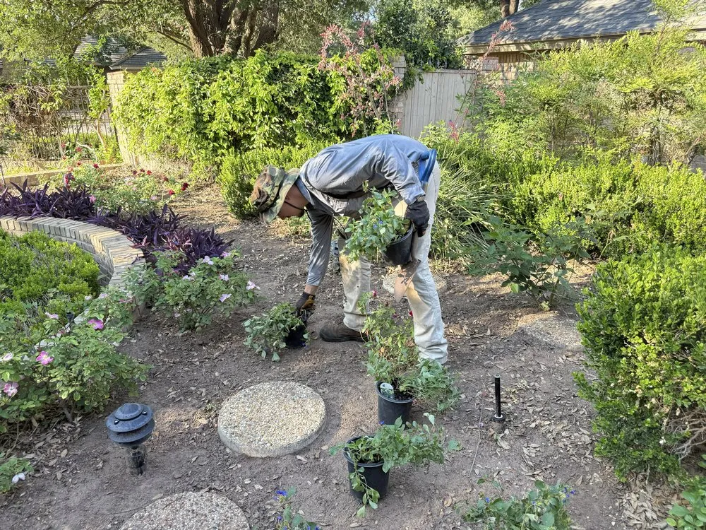 Expert garden landscaping in Lubbock, TX - Foley Does It