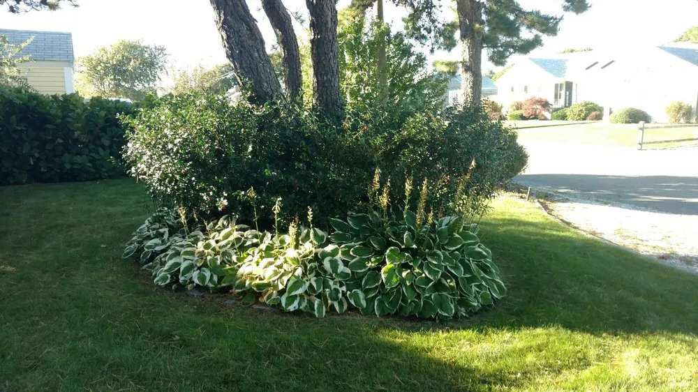 Professional outdoor landscaping in South Dennis, MA - Foley Landscape Services