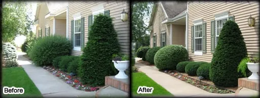 Custom landscaping services experts serving South Dennis, MA - Foley Landscape Services