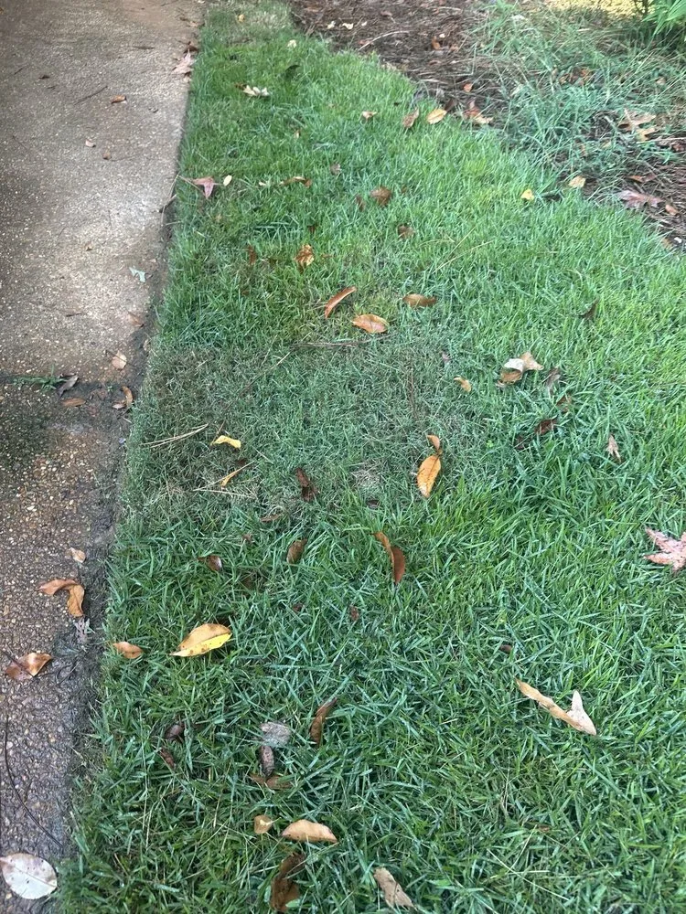 Reliable landscaping services in Oxford, MS - Foley Lawn Care