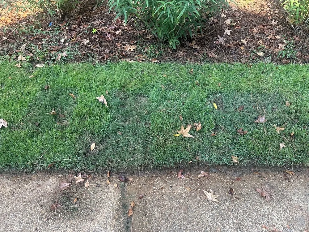 Reliable landscape design in Oxford, MS - Foley Lawn Care
