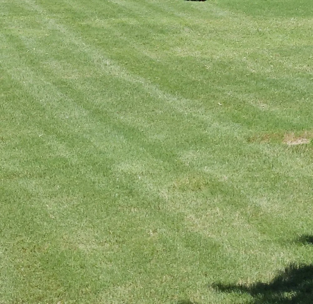 Reliable residential landscaping experts serving Oxford, MS - Foley Lawn Care