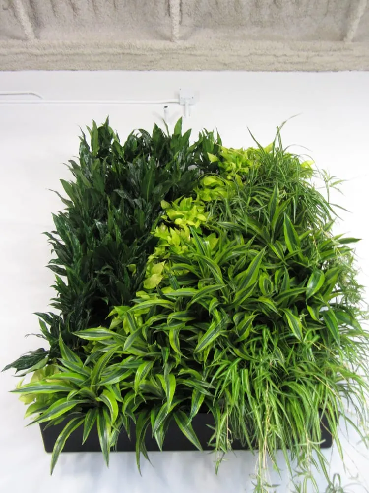 Custom lawn mowing service for homes across Loxahatchee, FL - Foliage Décor Services