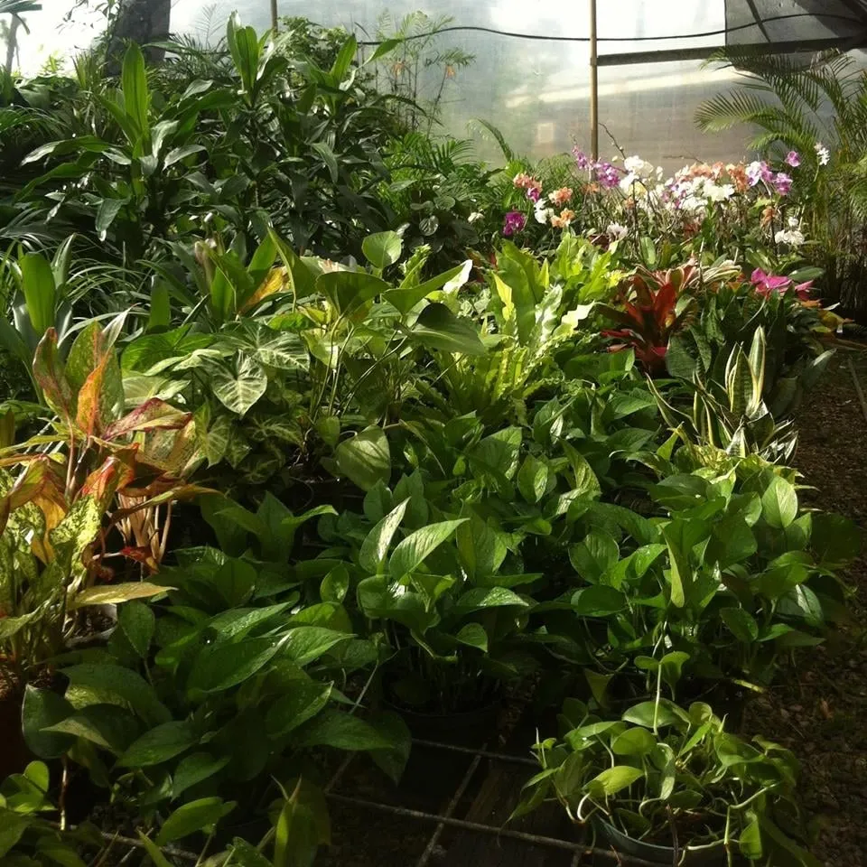 Top-rated garden landscaping experts serving Loxahatchee, FL - Foliage Décor Services