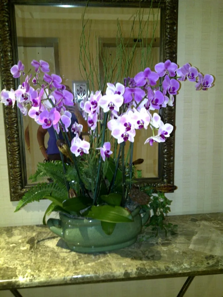 Top-rated residential landscaping experts serving Loxahatchee, FL - Foliage Décor Services