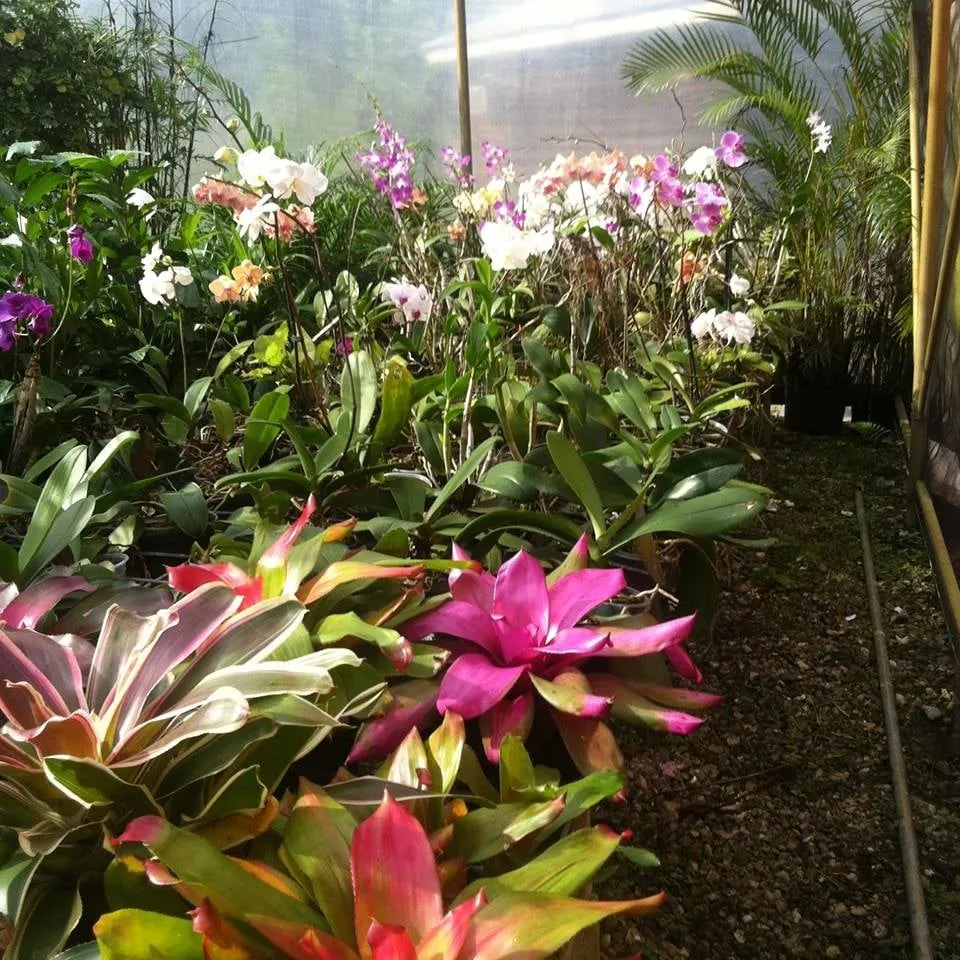 Professional garden landscaping in Loxahatchee, FL by Foliage Décor Services