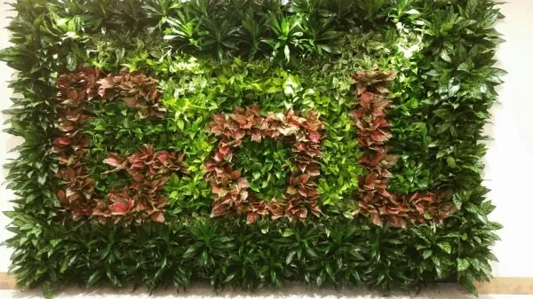 Professional landscape installation for year-round maintenance in Loxahatchee, FL by Foliage Décor Services