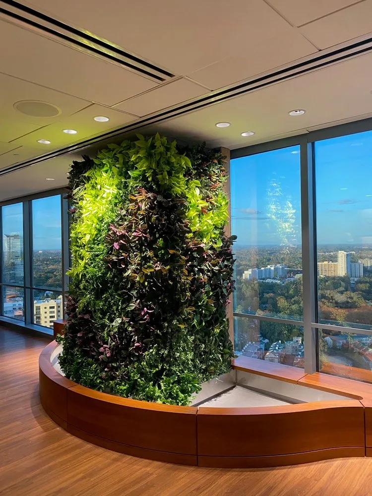 Expert yard cleanup service in Orlando, FL by Foliage Design Systems