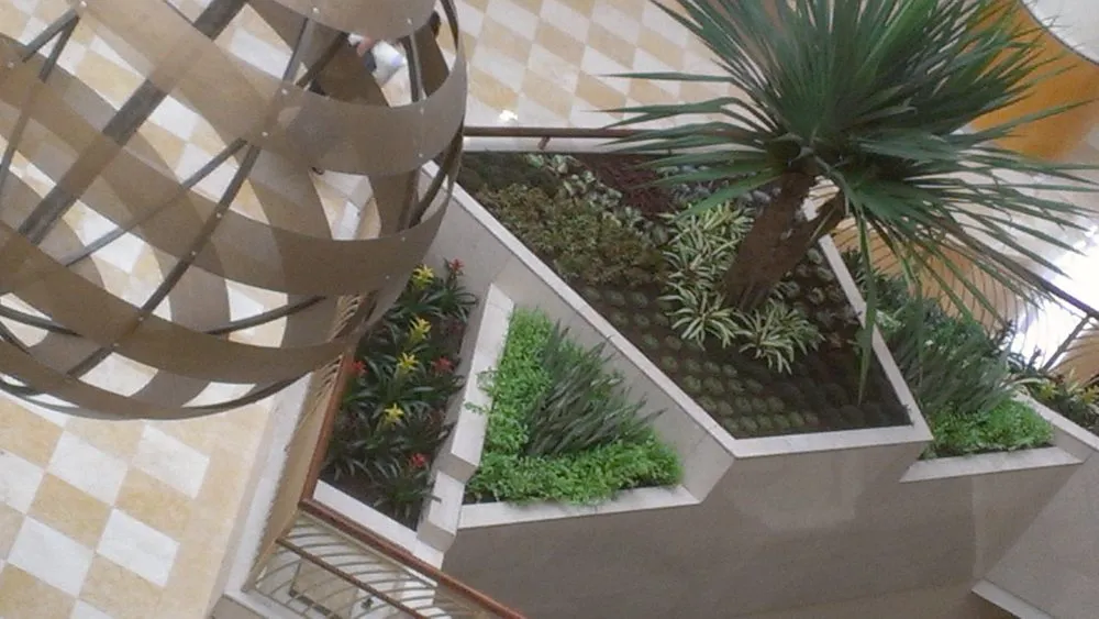 Expert lawn care service for residential properties in Orlando, FL by Foliage Design Systems