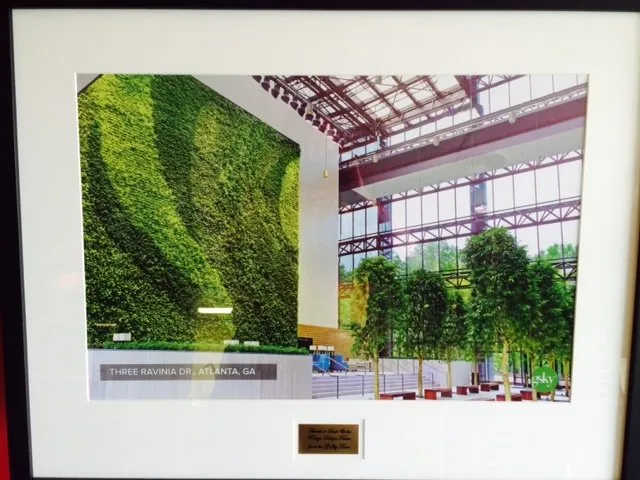 Trusted yard cleanup service for beautiful yards across Orlando, FL - Foliage Design Systems