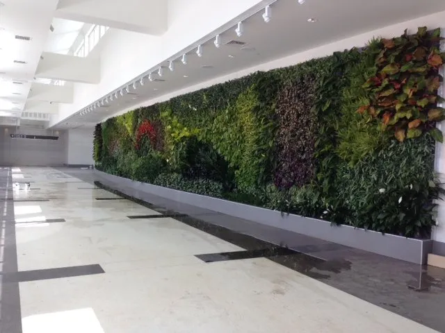 Top-rated garden landscaping in Orlando, FL by Foliage Design Systems