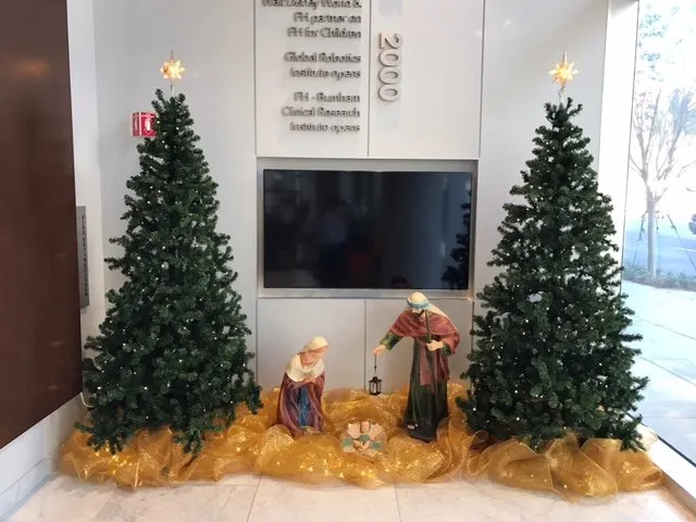 Reliable yard cleanup service for residential properties in Orlando, FL by Foliage Design Systems