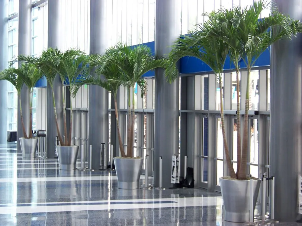 Affordable landscape installation in Orlando, FL by Foliage Design Systems