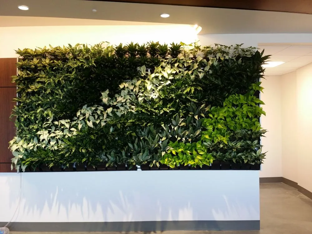 Custom yard maintenance for year-round maintenance across Orlando, FL - Foliage Design Systems