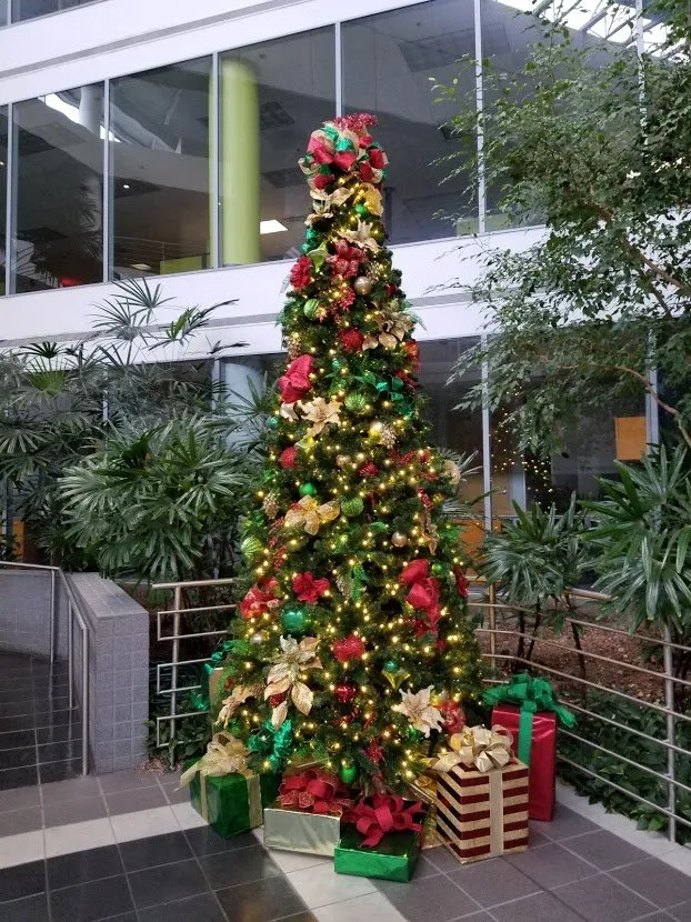 Affordable yard cleanup service for homes in Orlando, FL by Foliage Design Systems