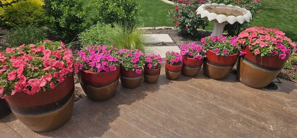 Affordable yard maintenance in Plano, TX - Folis Lawn And Landscape