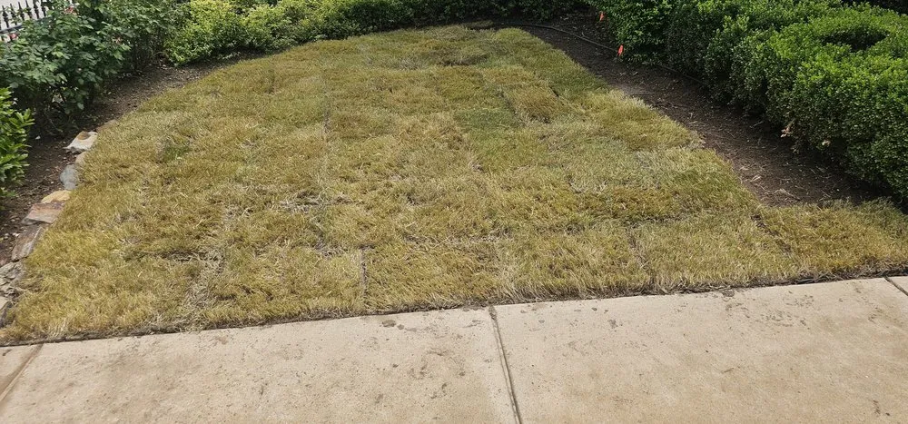 Custom outdoor landscaping in Plano, TX - Folis Lawn And Landscape