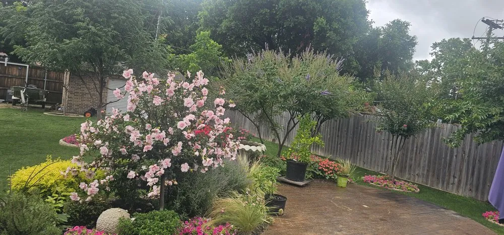 Reliable lawn care service with custom design in Plano, TX by Folis Lawn And Landscape