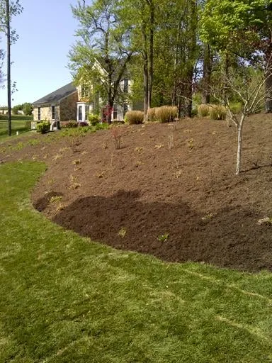Affordable lawn care service for beautiful yards in Baltimore, MD by Folk Mobile