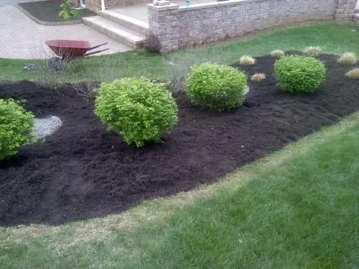 Affordable garden landscaping in Baltimore, MD - Folk Mobile