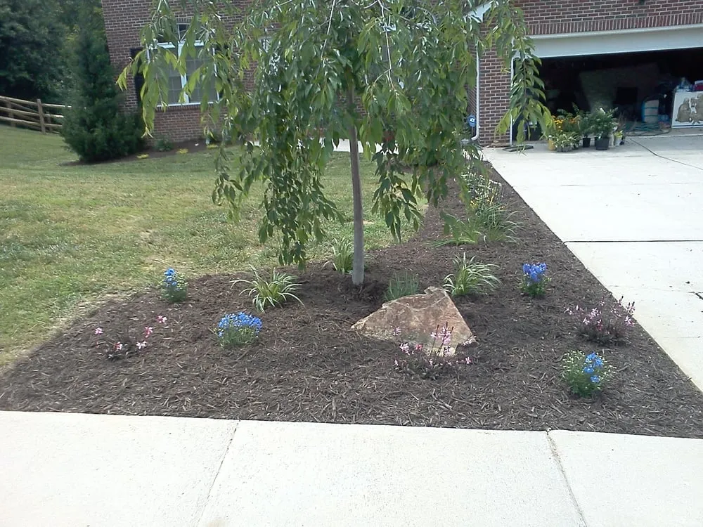 Professional lawn care service in Baltimore, MD - Folk Mobile