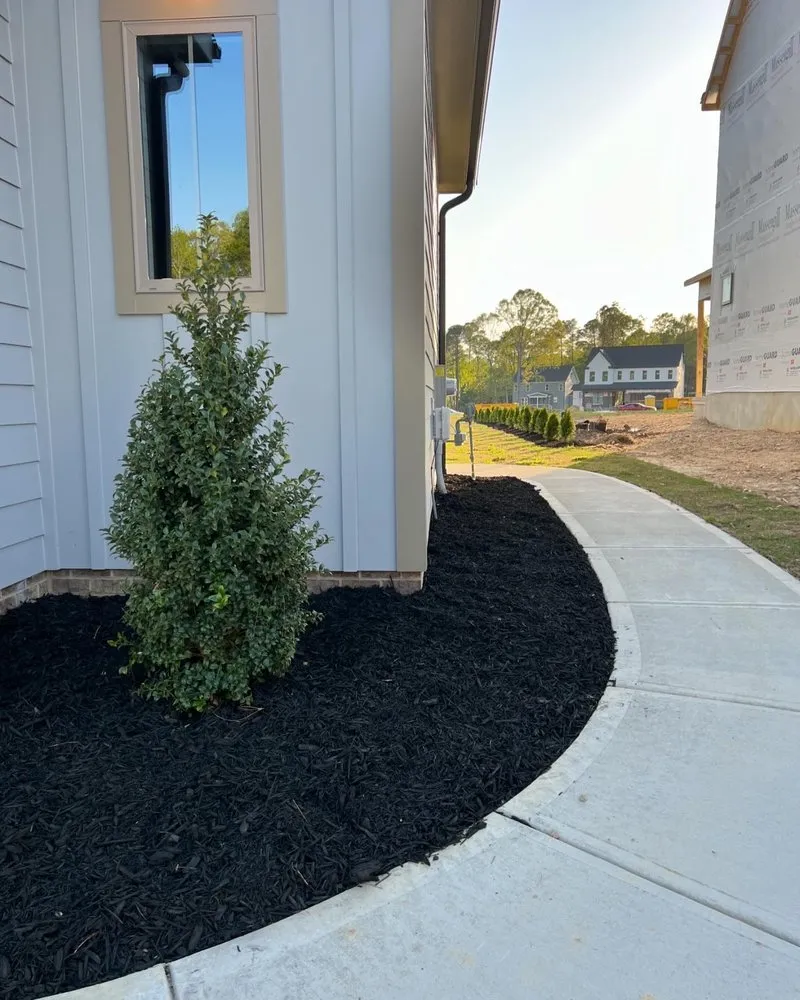 Reliable yard cleanup service in Raleigh, NC - Folksy Custom Landscapes