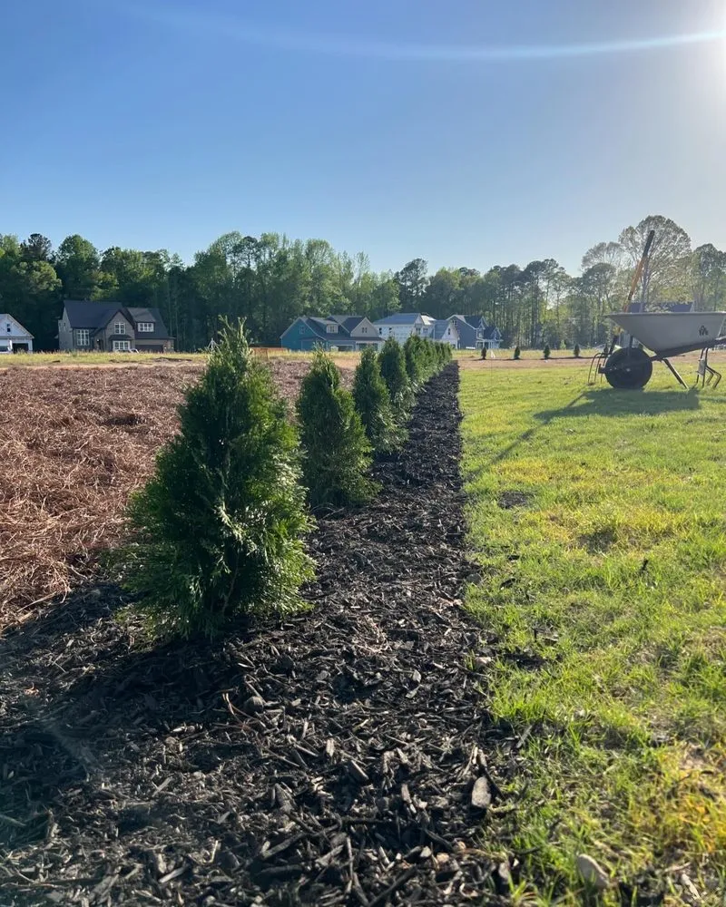 Expert garden landscaping in Raleigh, NC - Folksy Custom Landscapes