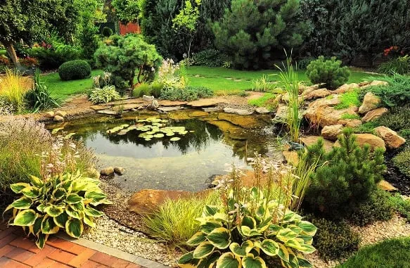 Top-rated landscaping services in Folsom, CA - Folsom Landscaping Pro's