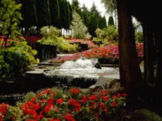 Affordable landscaping services in Folsom, CA by Folsom Landscaping Pro's