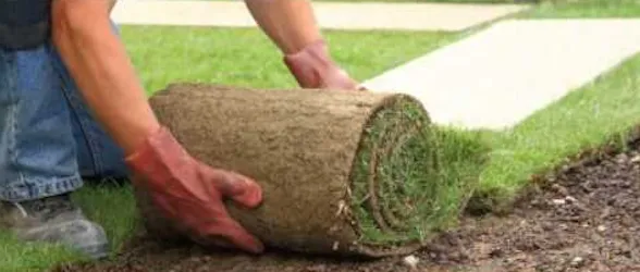 Local residential landscaping in Folsom, CA - Folsom Landscaping Pro's