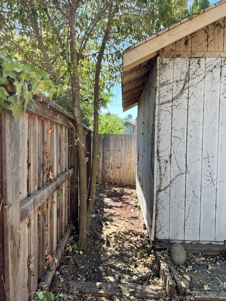 Expert yard cleanup service in Citrus Heights, CA by Folsom Lawn care And cleanup