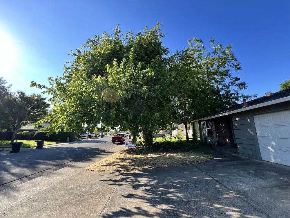 Reliable landscaping services experts serving Citrus Heights, CA - Folsom Lawn care And cleanup