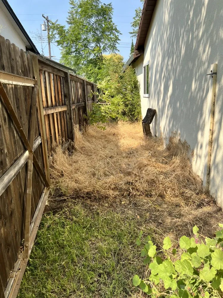 Top-rated yard maintenance in Citrus Heights, CA - Folsom Lawn care And cleanup