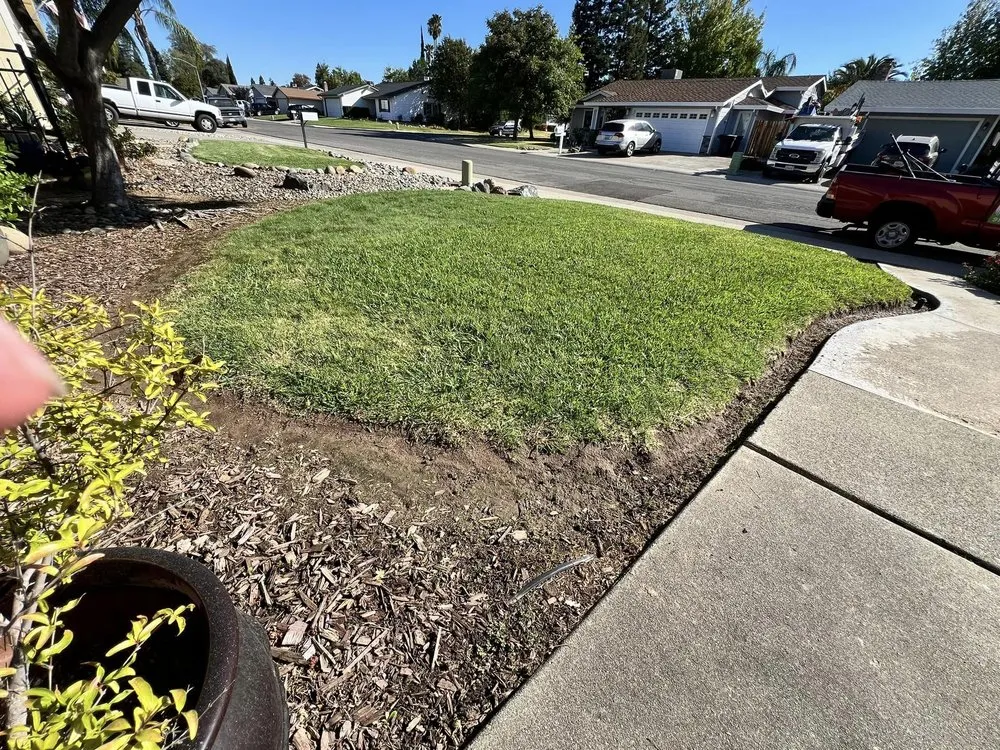 Reliable landscape design in Citrus Heights, CA by Folsom Lawn care And cleanup