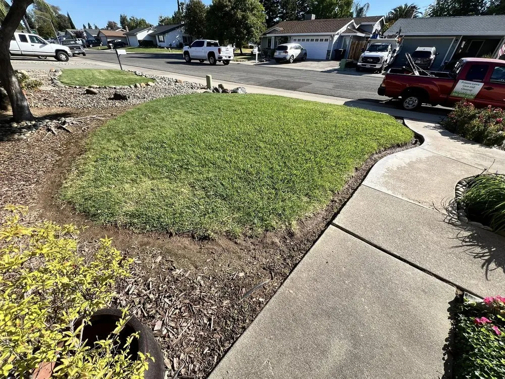 Expert residential landscaping in Citrus Heights, CA by Folsom Lawn care And cleanup