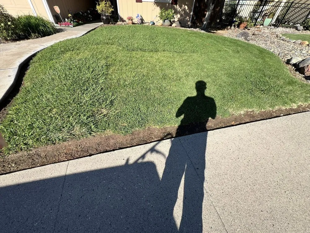 Top-rated lawn care service in Citrus Heights, CA by Folsom Lawn care And cleanup
