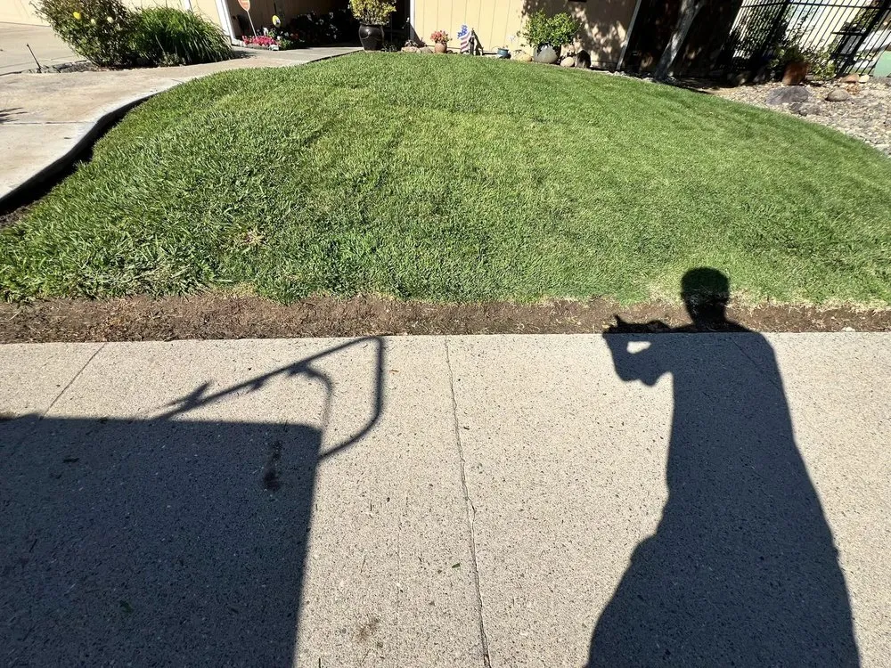 Top-rated lawn care service experts serving Citrus Heights, CA - Folsom Lawn care And cleanup