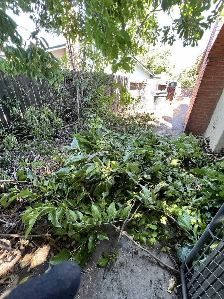 Expert landscaping services in Citrus Heights, CA by Folsom Lawn care And cleanup