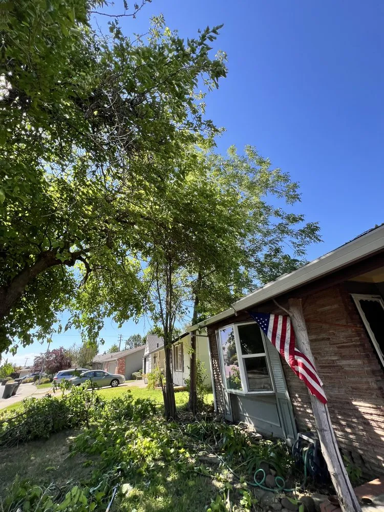 Reliable lawn mowing service experts serving Citrus Heights, CA - Folsom Lawn care And cleanup