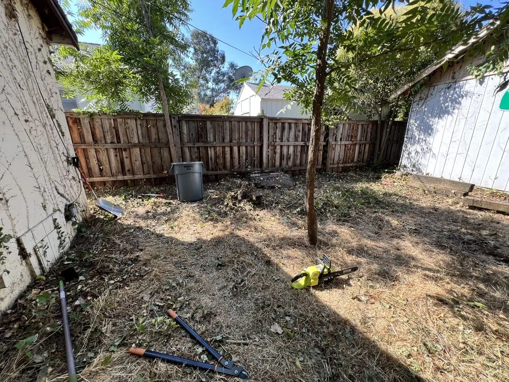 Trusted lawn mowing service in Citrus Heights, CA by Folsom Lawn care And cleanup