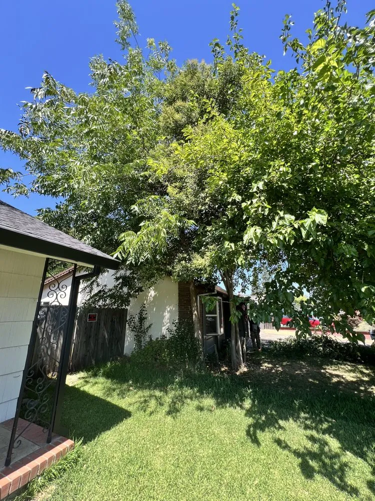 Expert outdoor landscaping with custom design in Citrus Heights, CA by Folsom Lawn care And cleanup