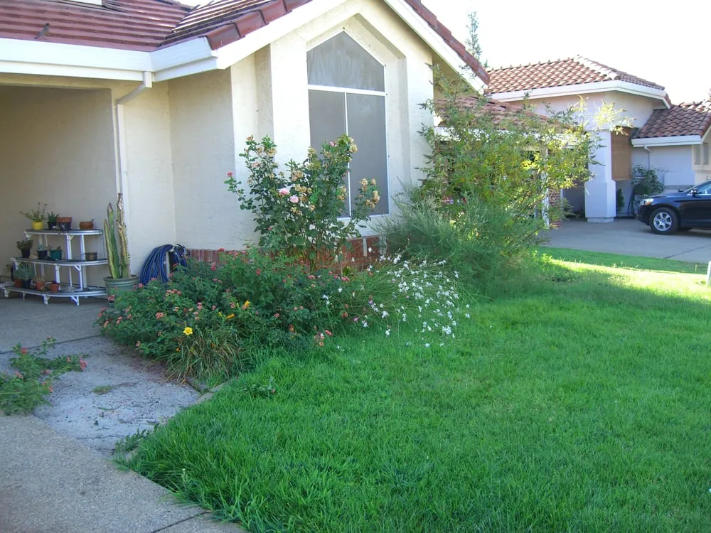 Expert outdoor landscaping in Folsom, CA by Folsom Lawn Service