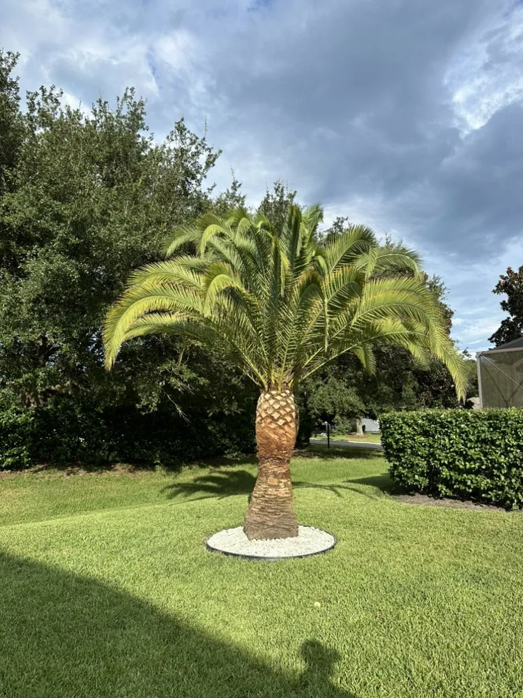 Reliable outdoor landscaping in Jacksonville, FL - Fonseca Maintenance Services