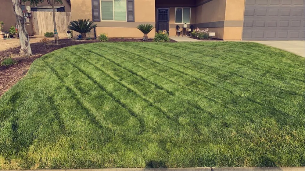 Professional outdoor landscaping experts serving Visalia, CA - Fonseca’s Gardening service